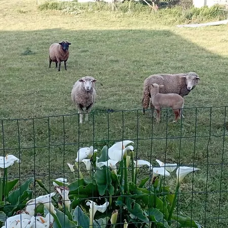 Quinta Dos Raposos- Portugal Landhaus Nazaré