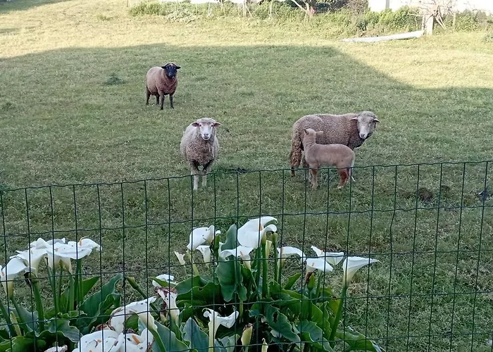 Quinta Dos Raposos- Portugal Casa de Campo Nazaré